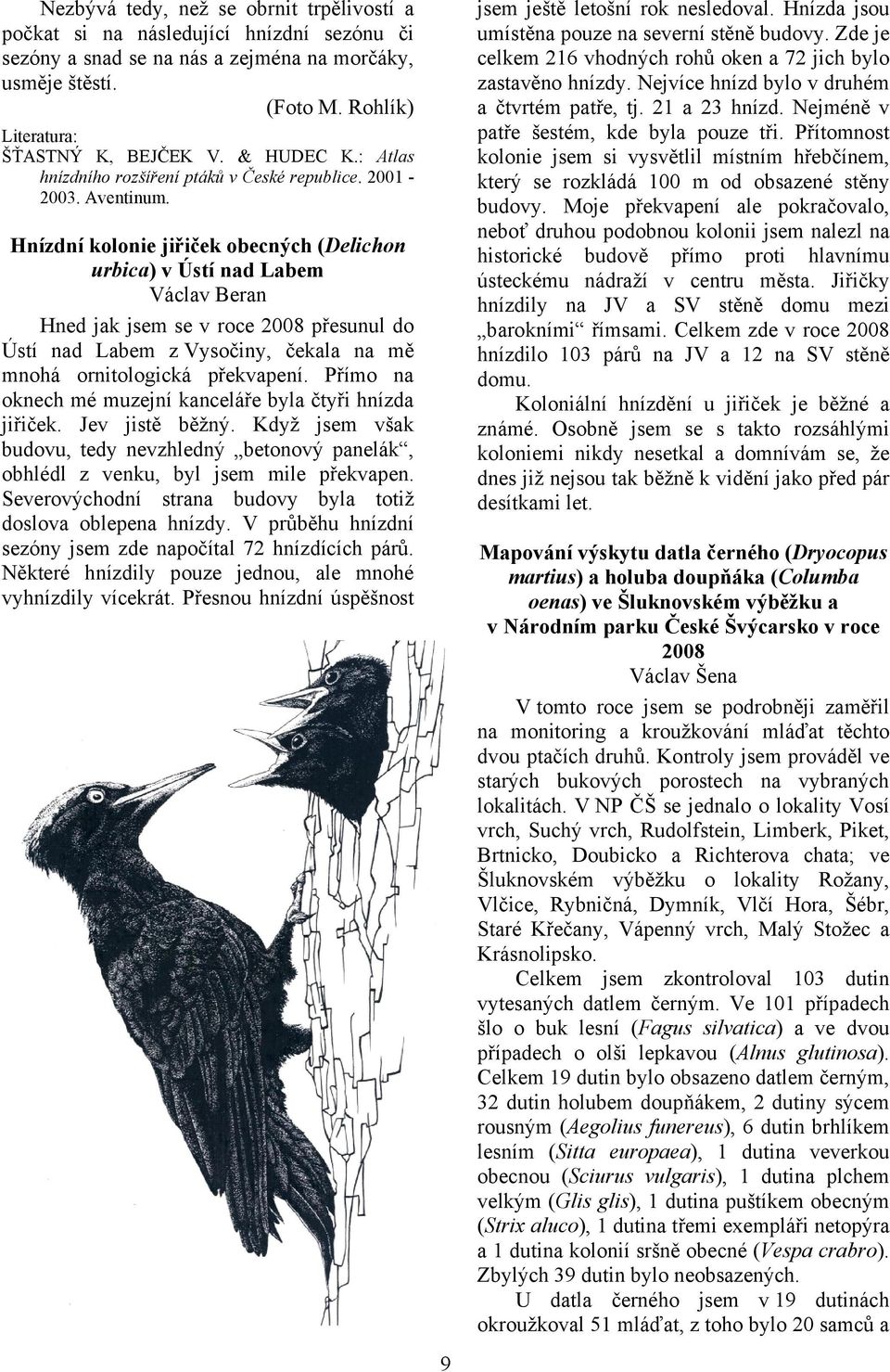 Hnízdní kolonie jiřiček obecných (Delichon urbica) v Ústí nad Labem Václav Beran Hned jak jsem se v roce 2008 přesunul do Ústí nad Labem z Vysočiny, čekala na mě mnohá ornitologická překvapení.