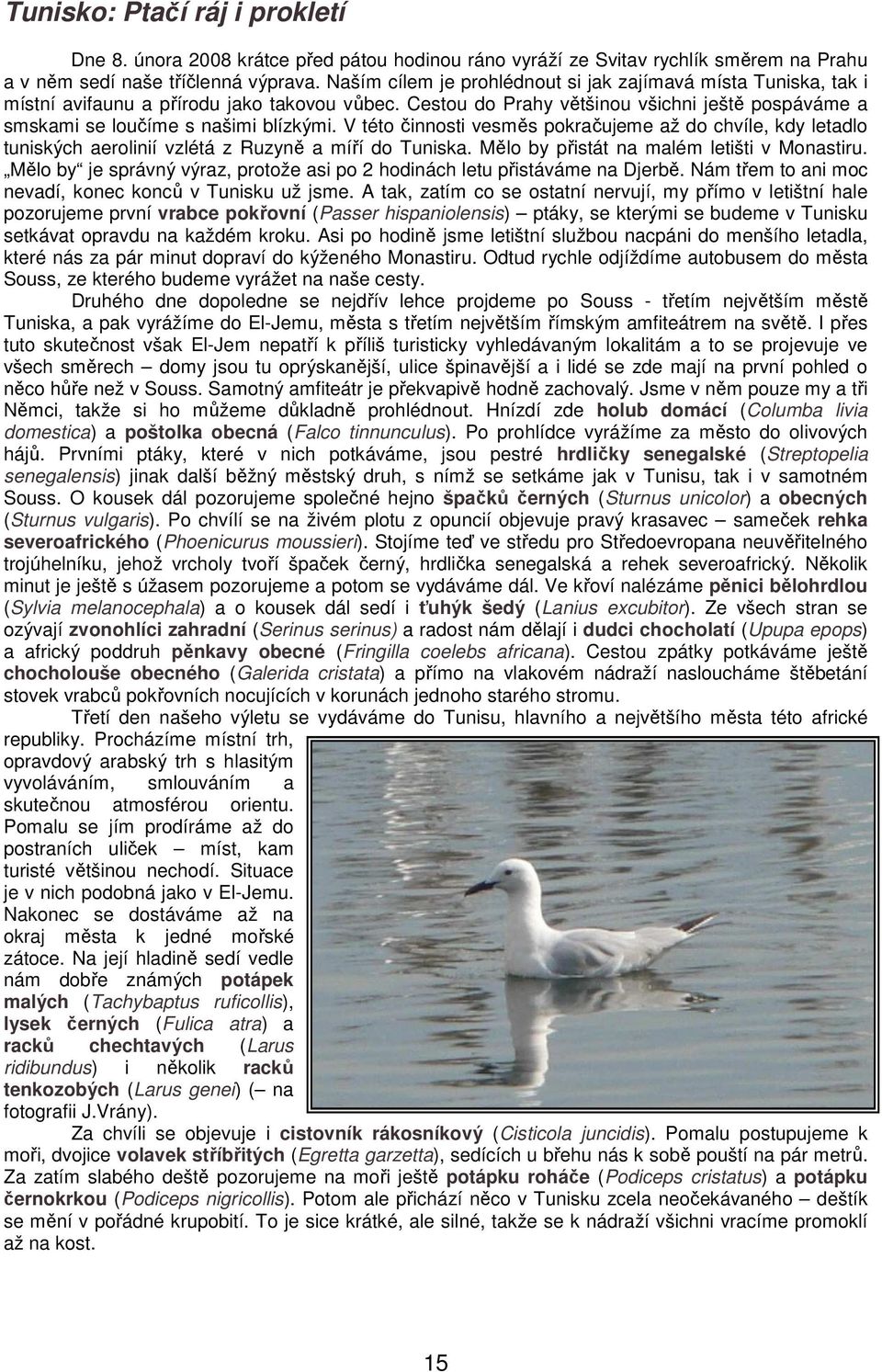 V této činnosti vesměs pokračujeme až do chvíle, kdy letadlo tuniských aerolinií vzlétá z Ruzyně a míří do Tuniska. Mělo by přistát na malém letišti v Monastiru.