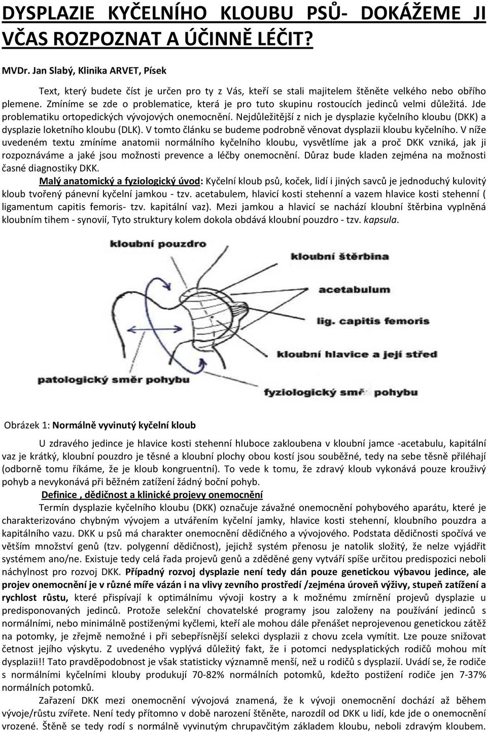 Zmíníme se zde o problematice, která je pro tuto skupinu rostoucích jedinců velmi důležitá. Jde problematiku ortopedických vývojových onemocnění.