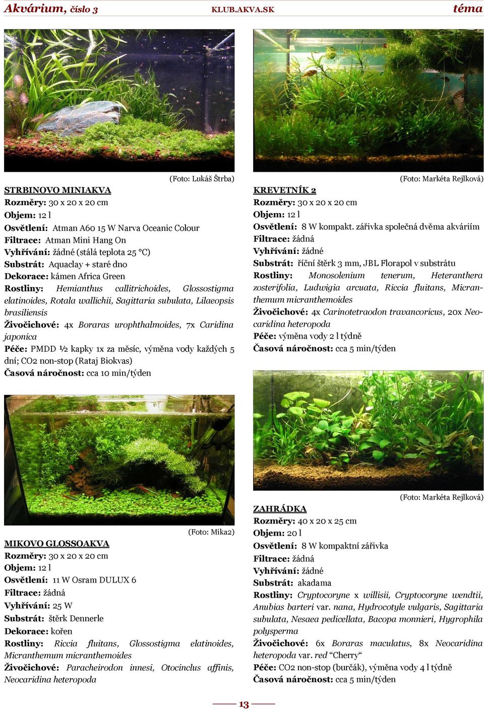 Riccia fluitans, Micranthemum micranthemoides Živočichové: 4x Carinotetraodon travancoricus, 20x Neocaridina heteropoda Péče: výměna vody 2 l týdně Časová náročnost: cca 5 min/týden Objem: 12 l