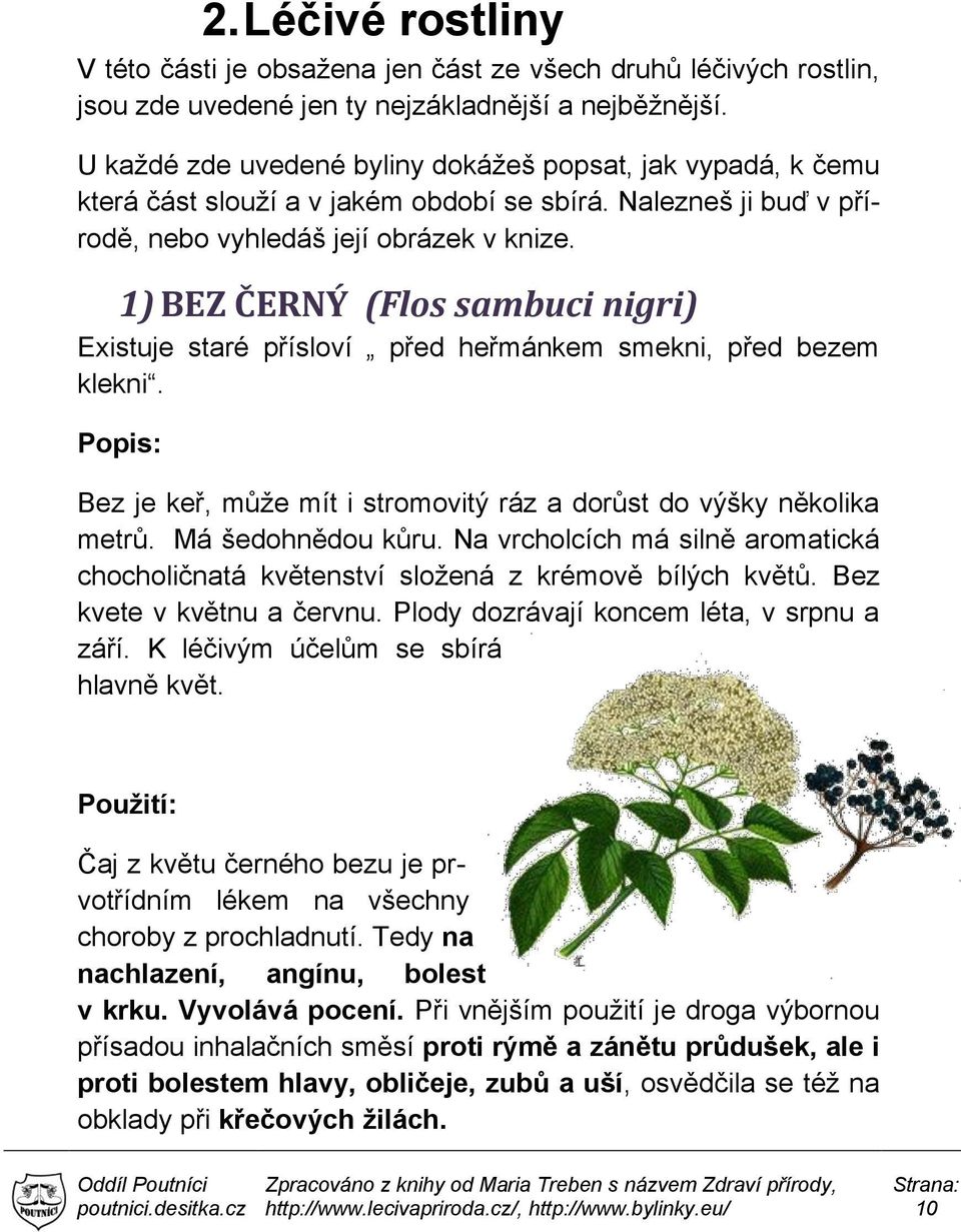 1) BEZ ČERNÝ (Flos sambuci nigri) Existuje staré přísloví před heřmánkem smekni, před bezem klekni. Bez je keř, může mít i stromovitý ráz a dorůst do výšky několika metrů. Má šedohnědou kůru.