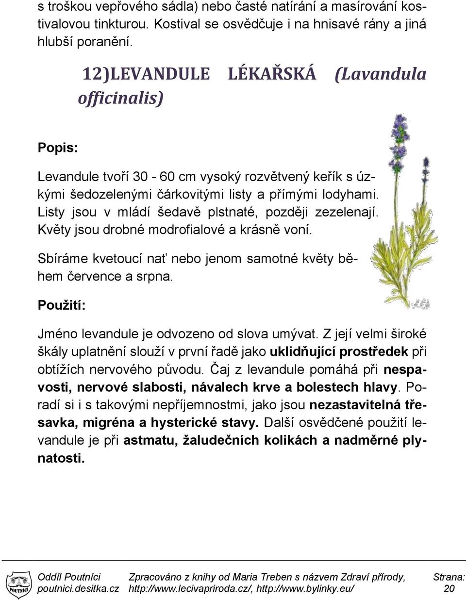 Listy jsou v mládí šedavě plstnaté, později zezelenají. Květy jsou drobné modrofialové a krásně voní. Sbíráme kvetoucí nať nebo jenom samotné květy během července a srpna.