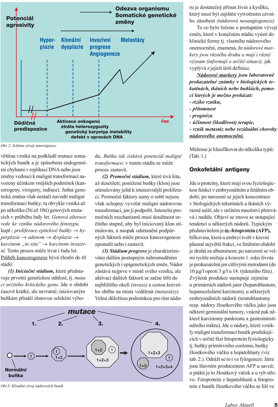 úèinkem vnìjších podmínek (kancerogeny, virogeny, radiace).