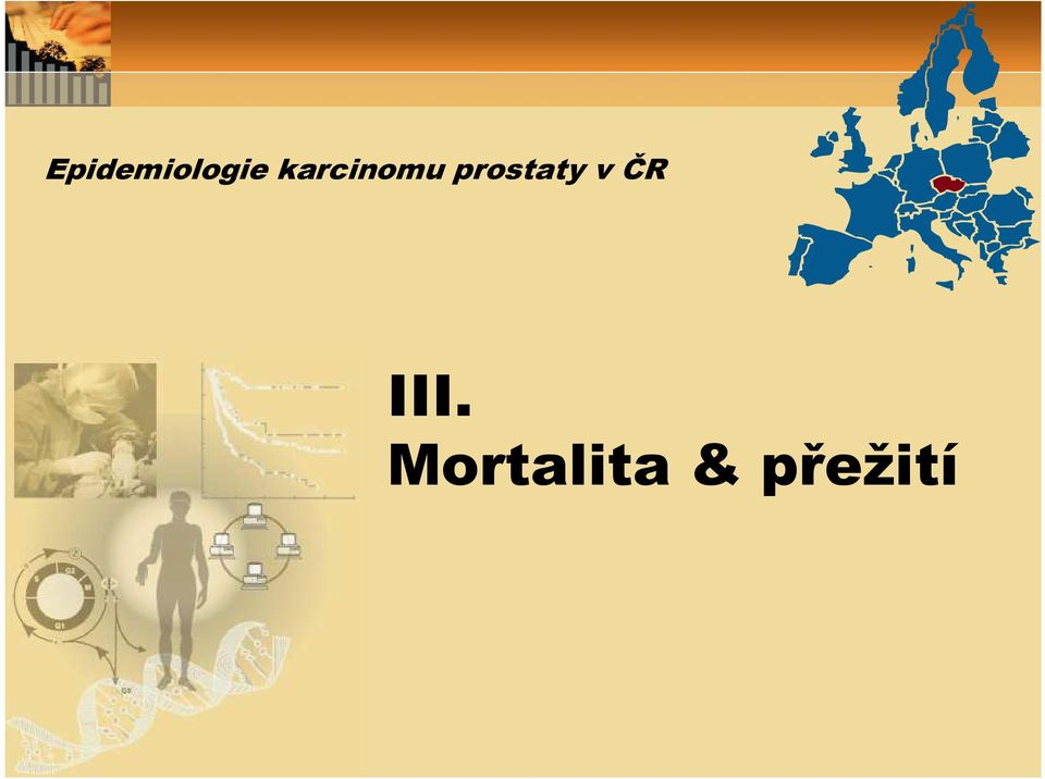 prostaty v ČR