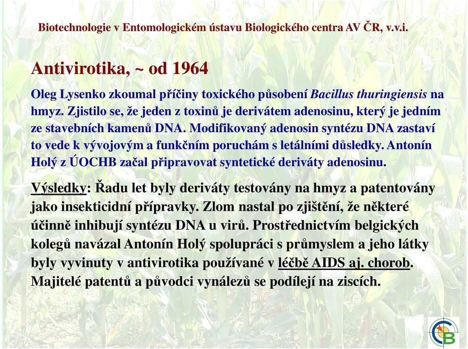 Antonín Holý z ÚOCHB začal připravovat syntetické deriváty adenosinu. Výsledky: Řadu let byly deriváty testovány na hmyz a patentovány jako insekticidní přípravky.