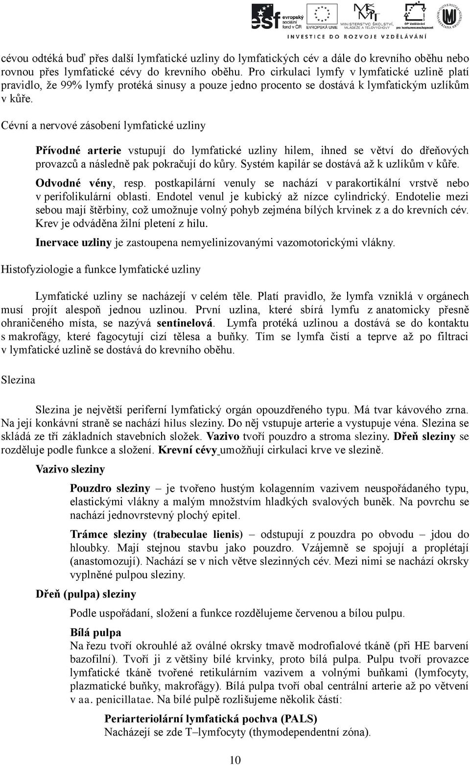 Cévní a nervové zásobení lymfatické uzliny Přívodné arterie vstupují do lymfatické uzliny hilem, ihned se větví do dřeňových provazců a následně pak pokračují do kůry.