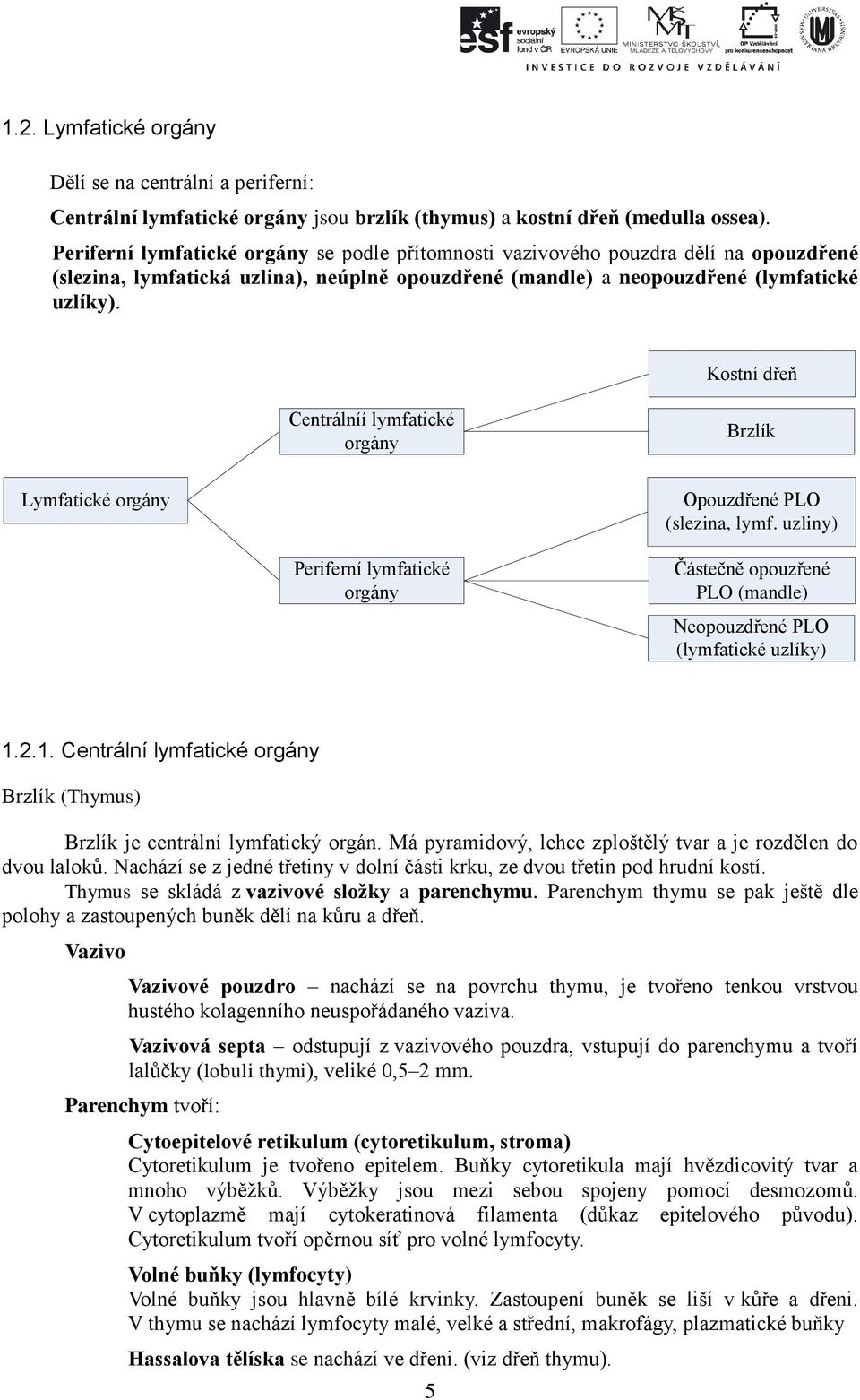 Kostní dřeň Centrálníí lymfatické orgány Brzlík Lymfatické orgány Opouzdřené PLO (slezina, lymf.