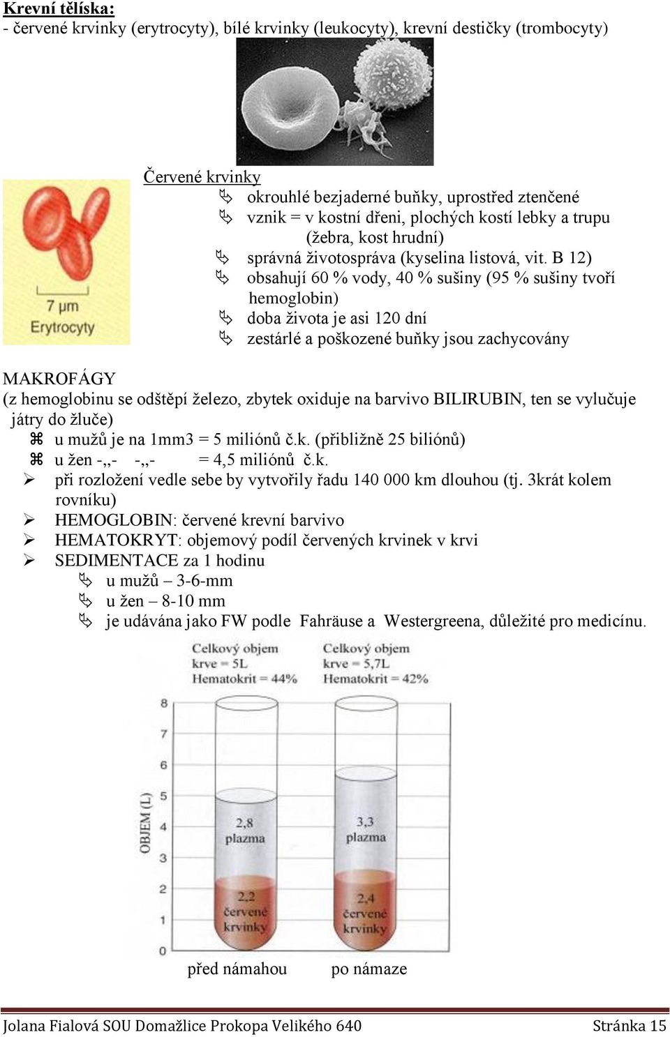 B 12) obsahují 60 % vody, 40 % sušiny (95 % sušiny tvoří hemoglobin) doba života je asi 120 dní zestárlé a poškozené buňky jsou zachycovány MAKROFÁGY (z hemoglobinu se odštěpí železo, zbytek oxiduje