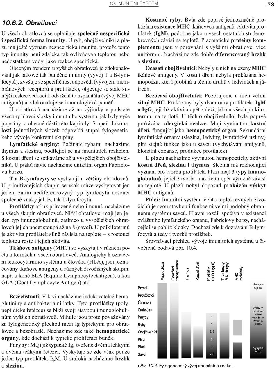 Obecným trendem u vyšších obratlovcù je zdokonalování jak látkové tak bunìèné imunity (vývoj T a B-lymfocytù), zvyšuje se specifiènost odpovìdi (vývojem membránových receptorù a protilátek), objevuje