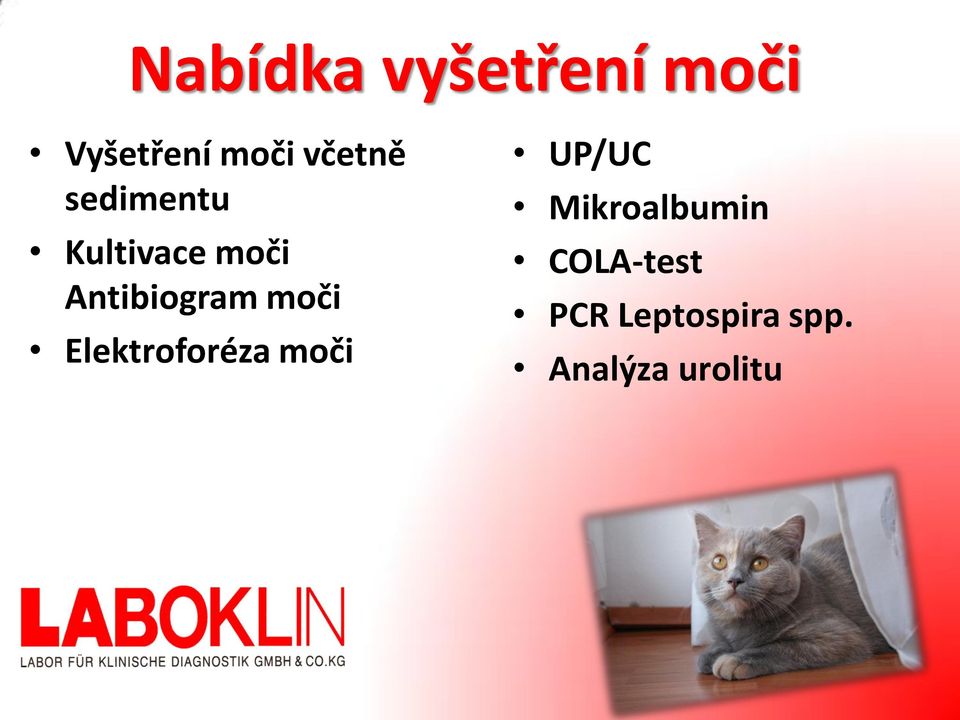 Antibiogram moči Elektroforéza moči UP/UC