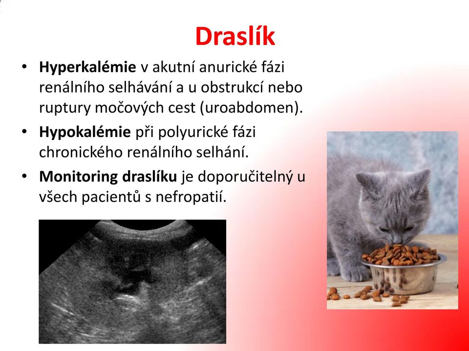 (uroabdomen).