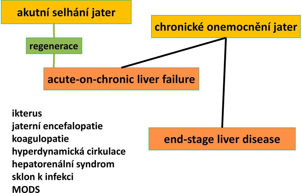 encefalopatie koagulopatie hyperdynamická cirkulace