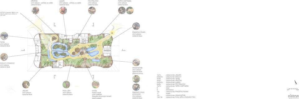 A PRASÁTKO PEKARI MRAVENEČNÍK přípravna krmiva DRÁPKATÉ OPICE LENOCHOD 1a/1b odstavná klec JAGUÁR 2a/2b/2c odstavná klec OCELOT 3a/3b odstavná klec TAYRA 4a/4b odstavná klec VŘEŠŤAN 5a/5b/5c