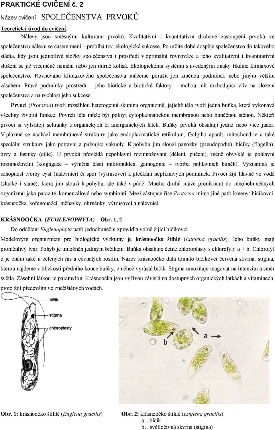 Po určité době dospěje společenstvo do takového stádia, kdy jsou jednotlivé složky společenstva i prostředí v optimální rovnováze a jeho kvalitativní i kvantitativní složení se již víceméně nemění