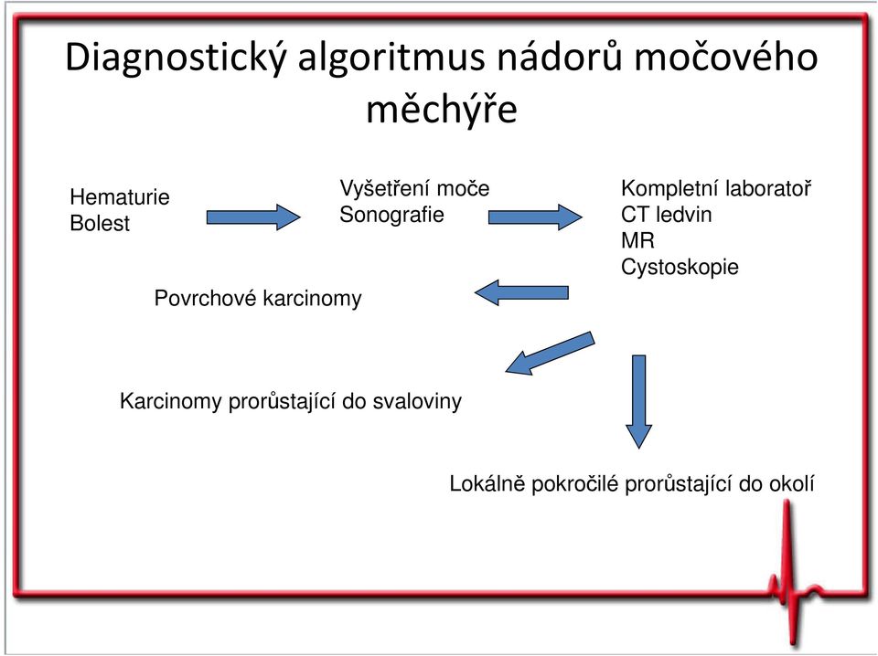 Kompletní laboratoř CT ledvin MR Cystoskopie Karcinomy