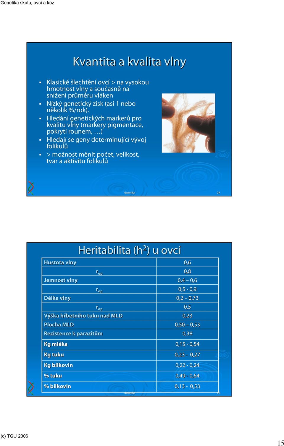 aktivitu folikulů Genetika 29 Hustota vlny Jemnost vlny Délka vlny Plocha MLD Rezistence k parazitům Kg mléka Kg tuku Kg bílkovinb % tuku % bílkovinb Heritabilita (h 2 )