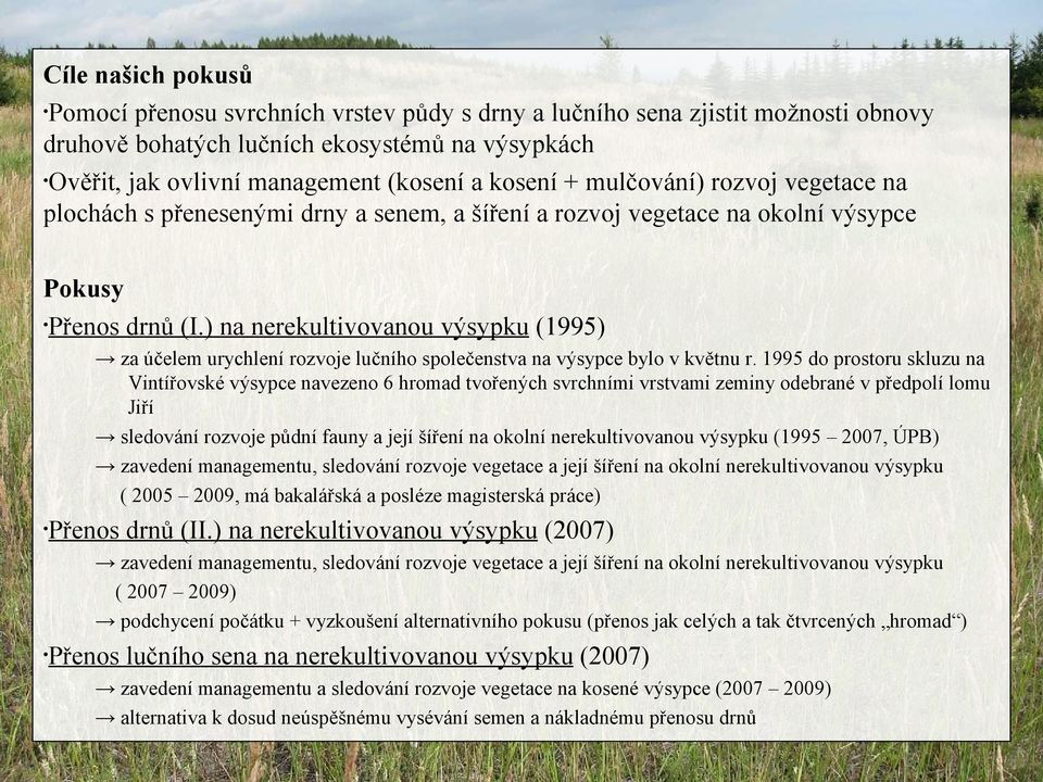 ) na nerekultivovanou výsypku (1995) za účelem urychlení rozvoje lučního společenstva na výsypce bylo v květnu r.