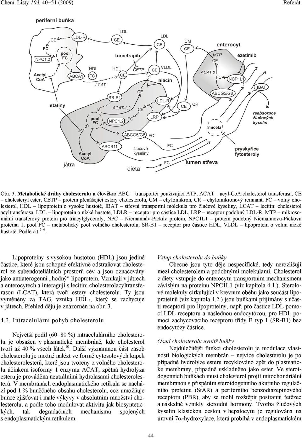 CR chylomikronový remnant, C volný cholesterol, DL lipoprotein o vysoké hustotě, IBAT střevní transportní molekula pro žlučové kyseliny, LCAT lecitin: cholesterol acyltransferasa, LDL lipoprotein o