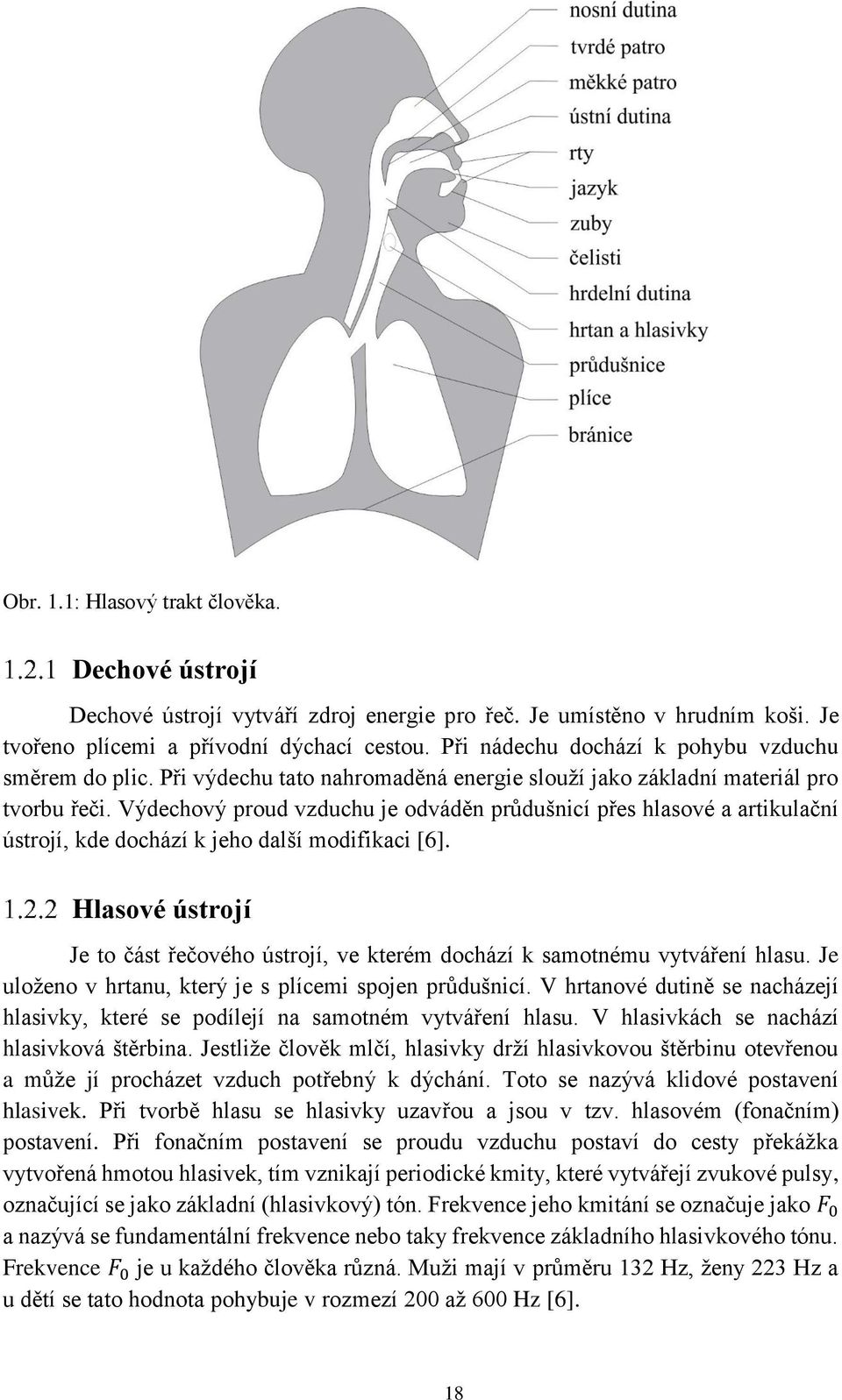 Výdechový proud vzduchu je odváděn průdušnicí přes hlasové a artikulační ústrojí, kde dochází k jeho další modifikaci [6].