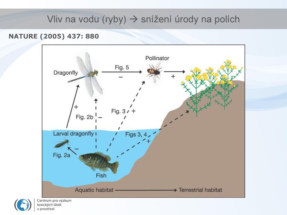 úrody na polích