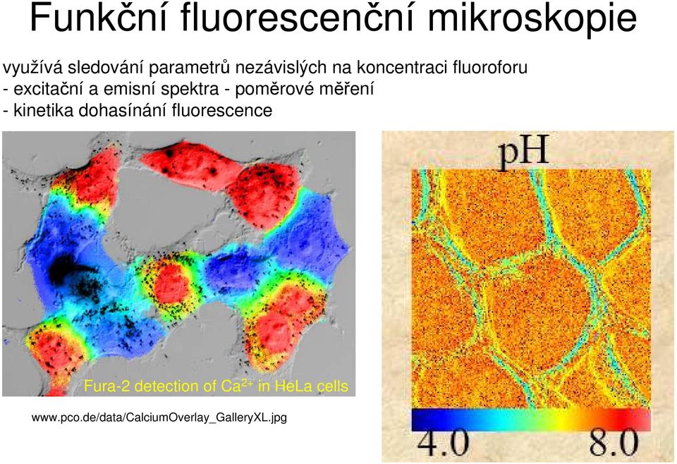 - poměrové měření - kinetika dohasínání fluorescence Fura-2