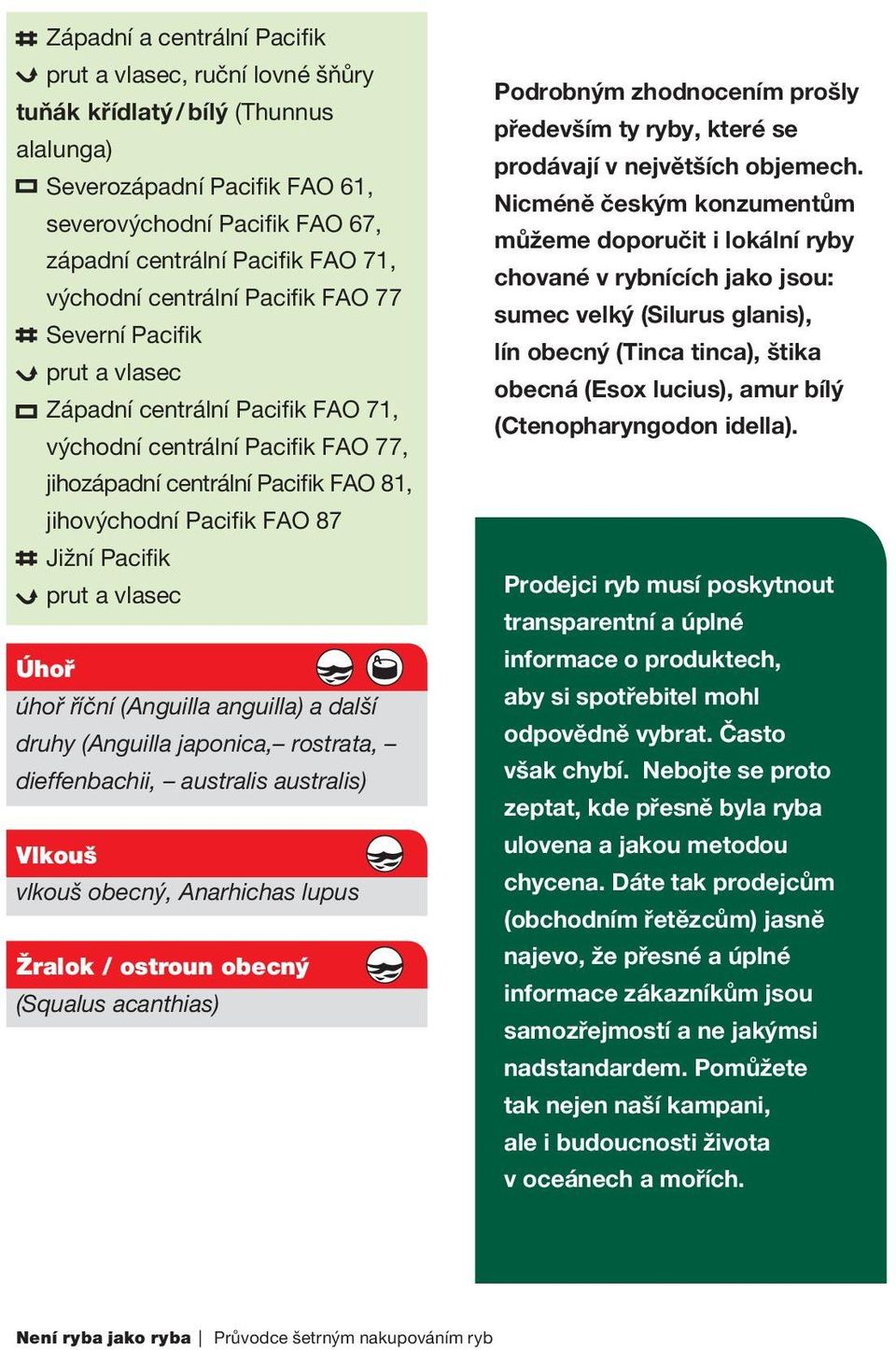 Jižní Pacifik prut a vlasec Úhoř úhoř říční (Anguilla anguilla) a další druhy (Anguilla japonica, rostrata, dieffenbachii, australis australis) Vlkouš vlkouš obecný, Anarhichas lupus Žralok / ostroun