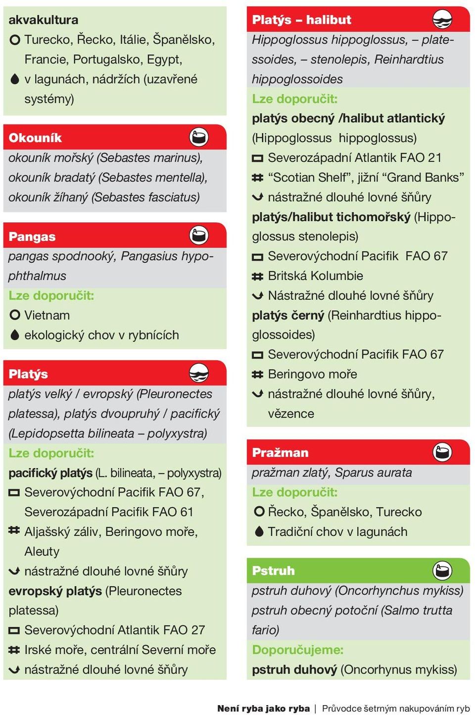 pacifický (Lepidopsetta bilineata polyxystra) pacifický platýs (L.