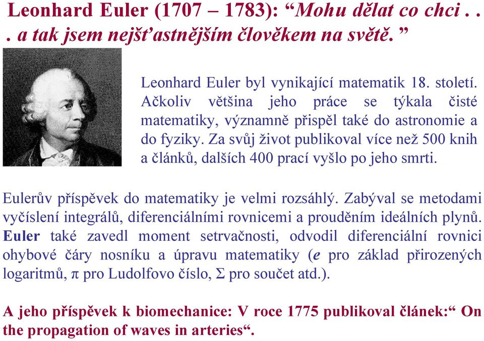 Eulerův příspěvek do matematiky je velmi rozsáhlý. Zabýval se metodami vyčíslení integrálů, diferenciálními rovnicemi a prouděním ideálních plynů.