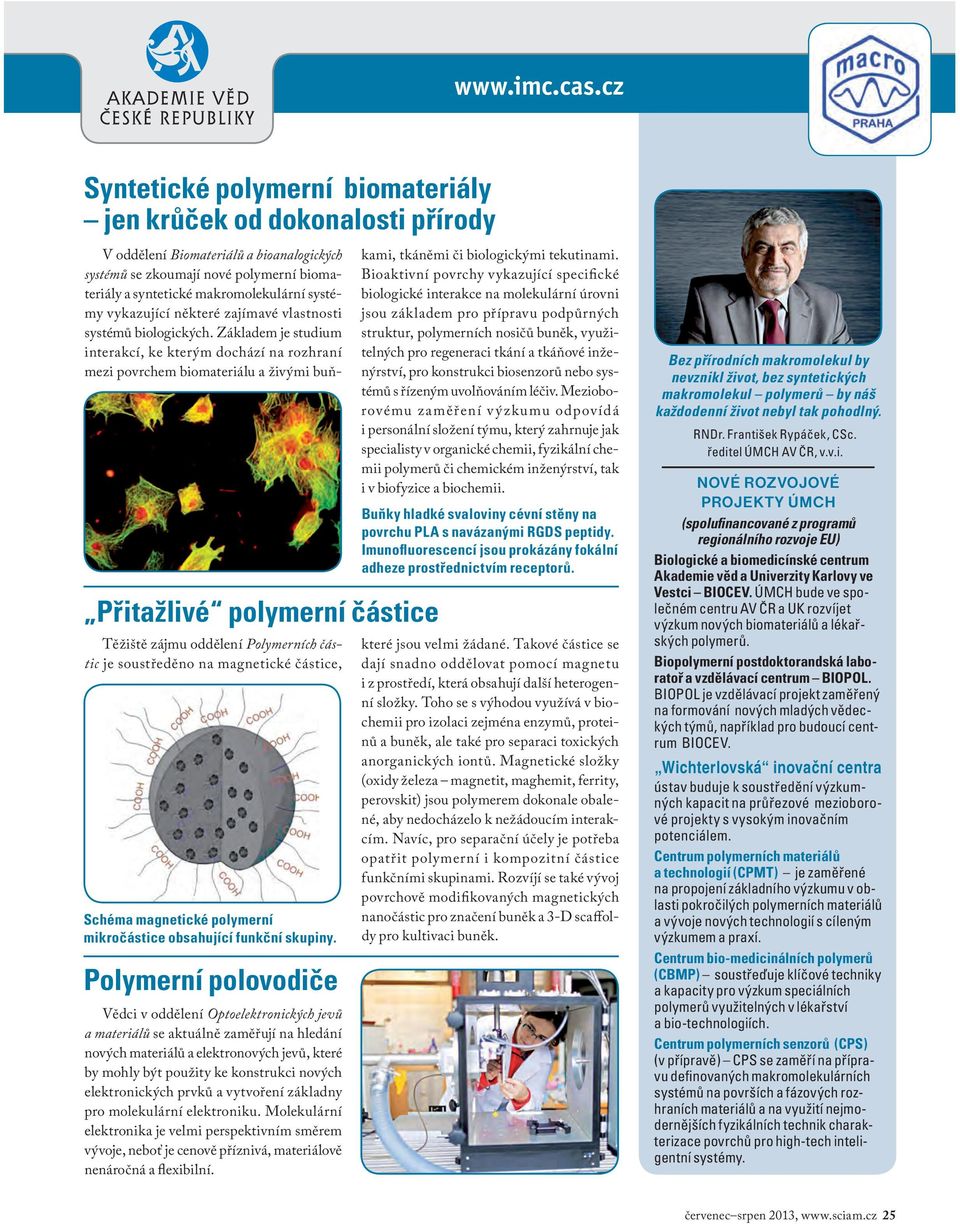 polymerní mikročástice obsahující funkční skupiny.