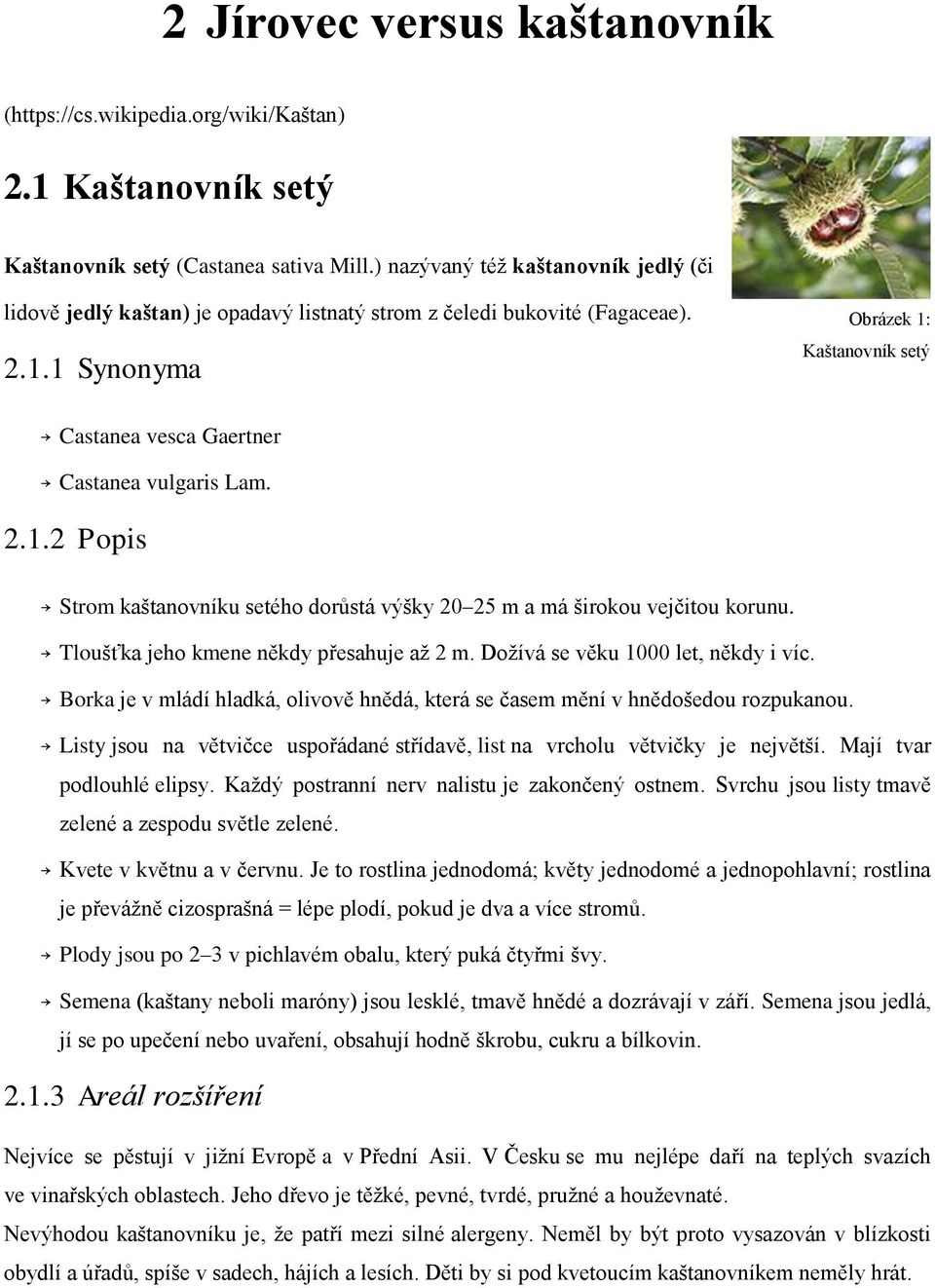 1 Synonyma Obrázek 1: Kaštanovník setý Castanea vesca Gaertner Castanea vulgaris Lam. 2.1.2 Popis Strom kaštanovníku setého dorůstá výšky 20 25 m a má širokou vejčitou korunu.
