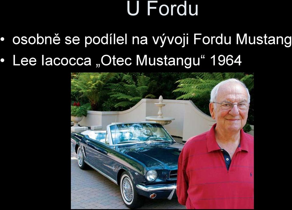 Fordu Mustang Lee