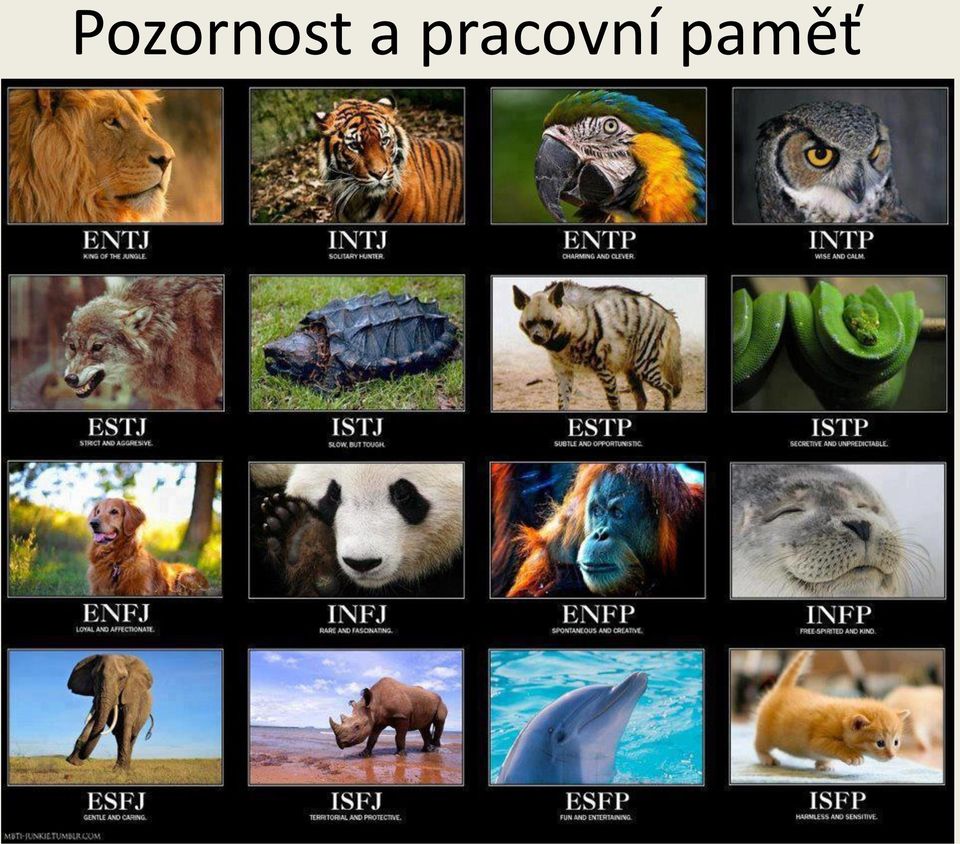 prcovní