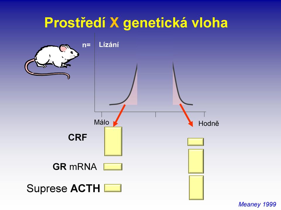 CRF Málo Hodně GR