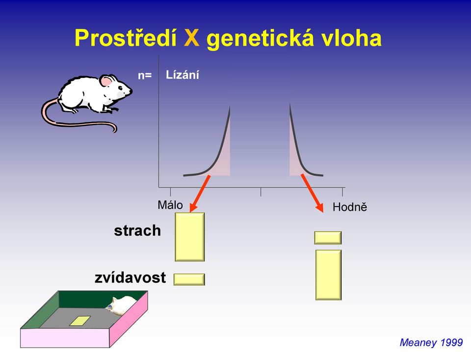 strach Málo Hodně