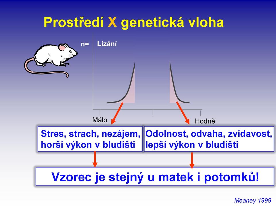 Odolnost, odvaha, zvídavost, lepší výkon v