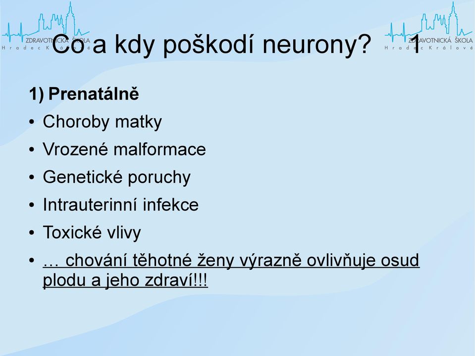 Genetické poruchy Intrauterinní infekce Toxické