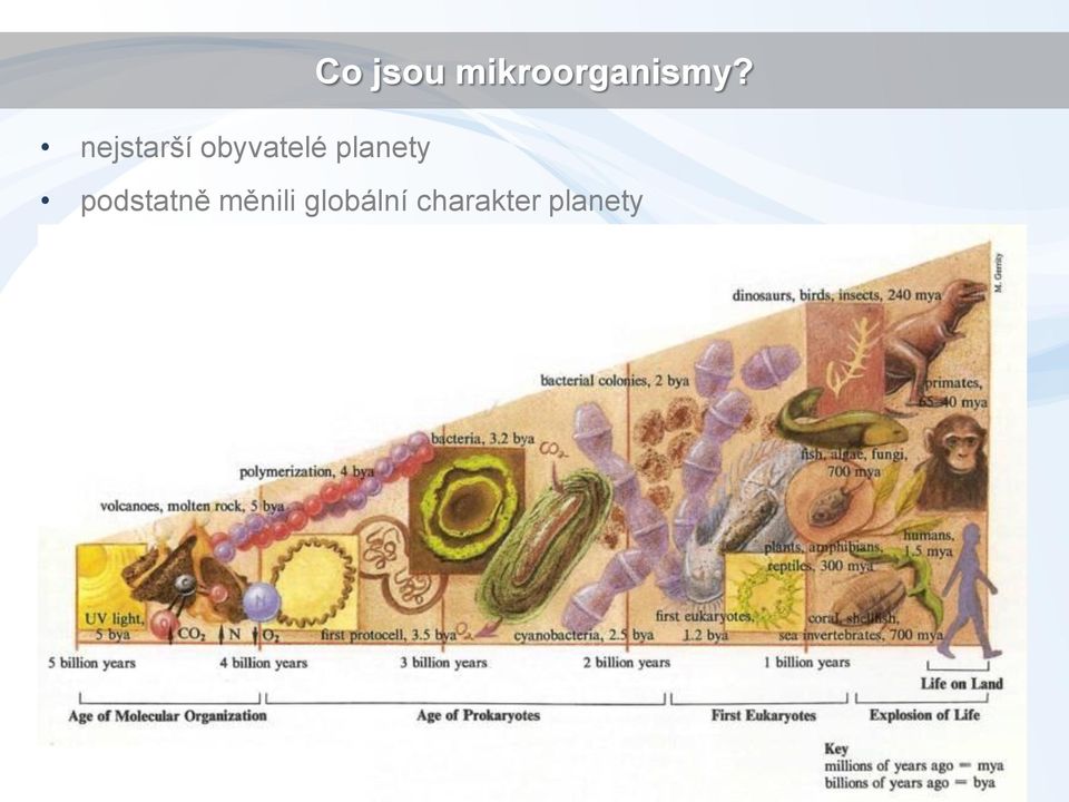 mikroorganismy?