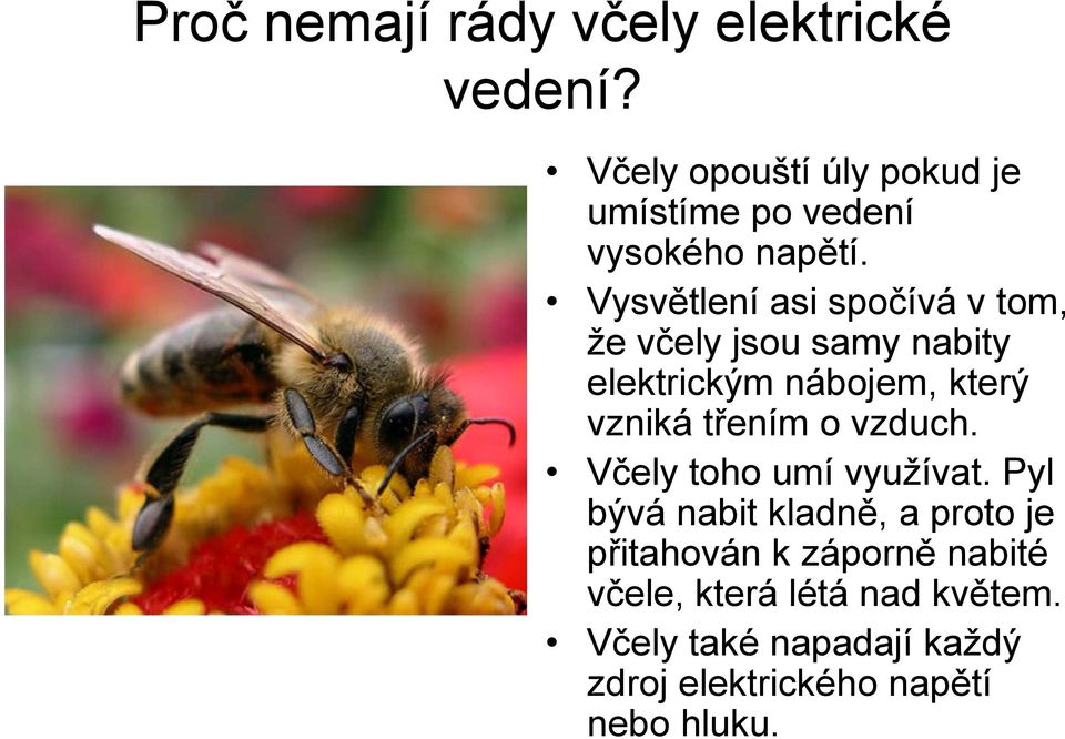 Vysvětlení asi spočívá v tom, že včely jsou samy nabity elektrickým nábojem, který vzniká třením