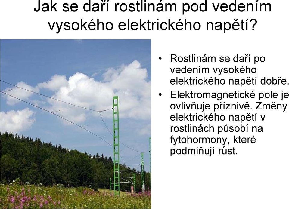 Elektromagnetické pole je ovlivňuje příznivě.