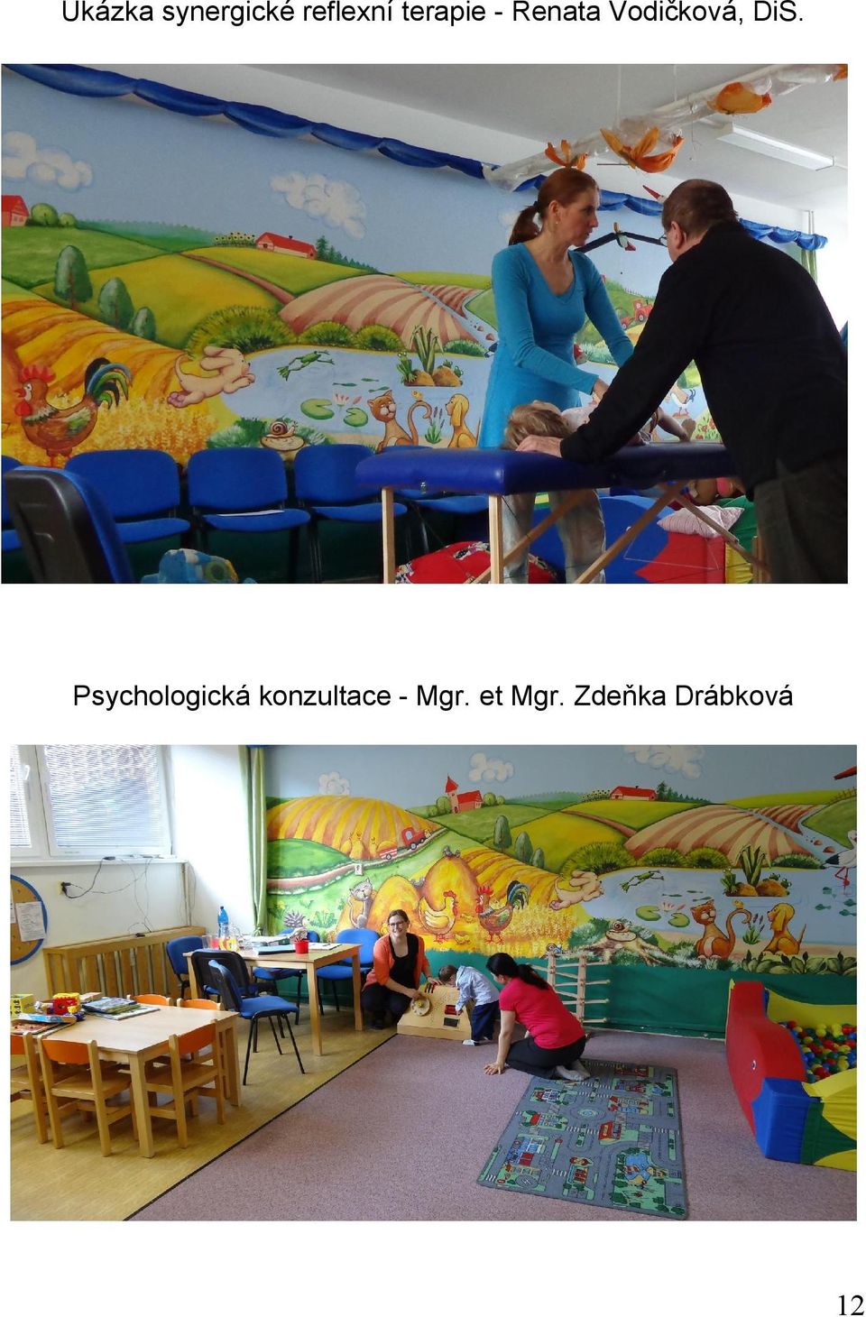 DiS. Psychologická konzultace