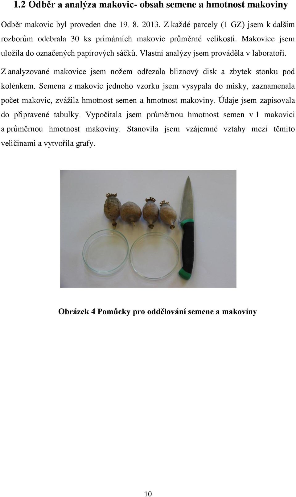 Vlastní analýzy jsem prováděla v laboratoři. Z analyzované makovice jsem nožem odřezala bliznový disk a zbytek stonku pod kolénkem.