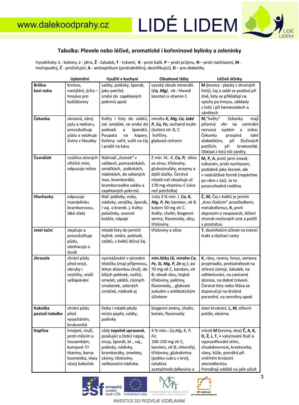 látky Léčivé účinky krmivo, saláty, polévky, špenát, vysoký obsah minerálů M (revma - placky z drcených nastýlání, jícha jako petržel, (Ca, Mg), vit.