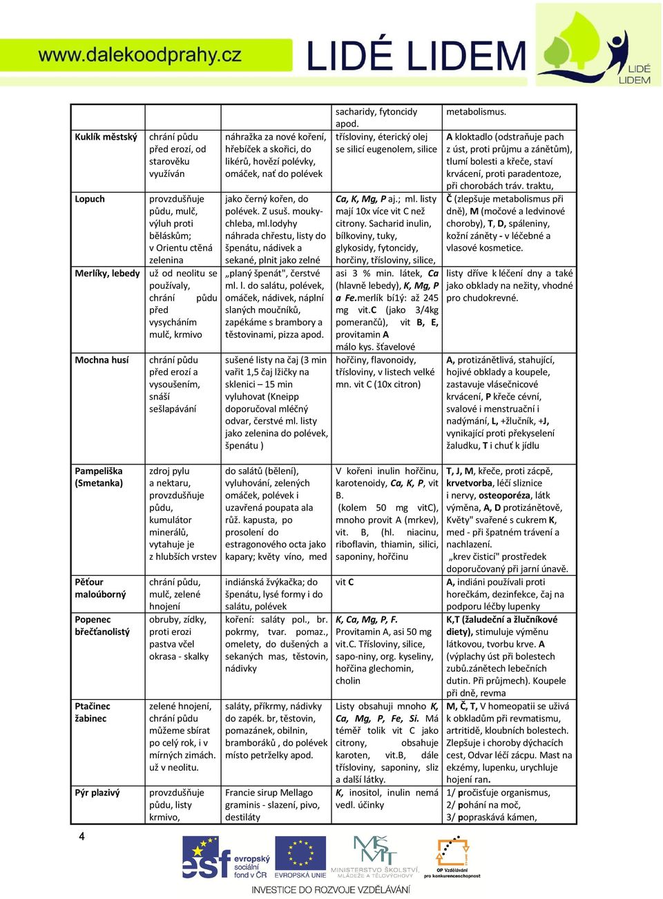 moukychleba, ml.lodyhy náhrada chřestu, listy do špenátu, nádivek a sekané, plnit jako zelné planý špenát", čerstvé ml. l. do salátu, polévek, omáček, nádivek, náplní slaných moučníků, zapékáme s brambory a těstovinami, pizza apod.