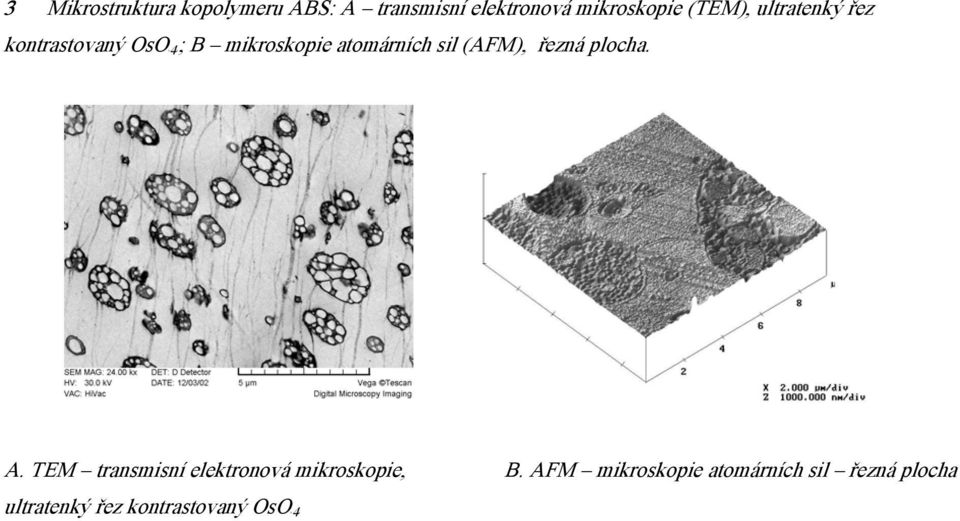 (AFM), řezná plocha. A.