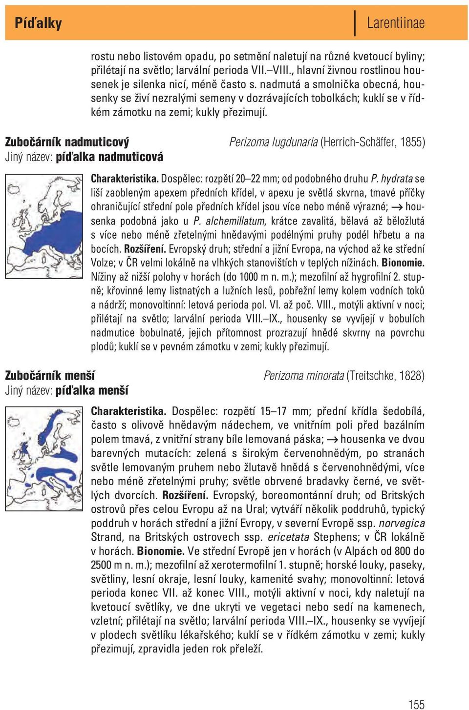 Zubočárník nadmuticový Perizoma lugdunaria (Herrich-Schäffer, 1855) Jiný název: píďalka nadmuticová Charakteristika. Dospělec: rozpětí 20 22 mm; od podobného druhu P.