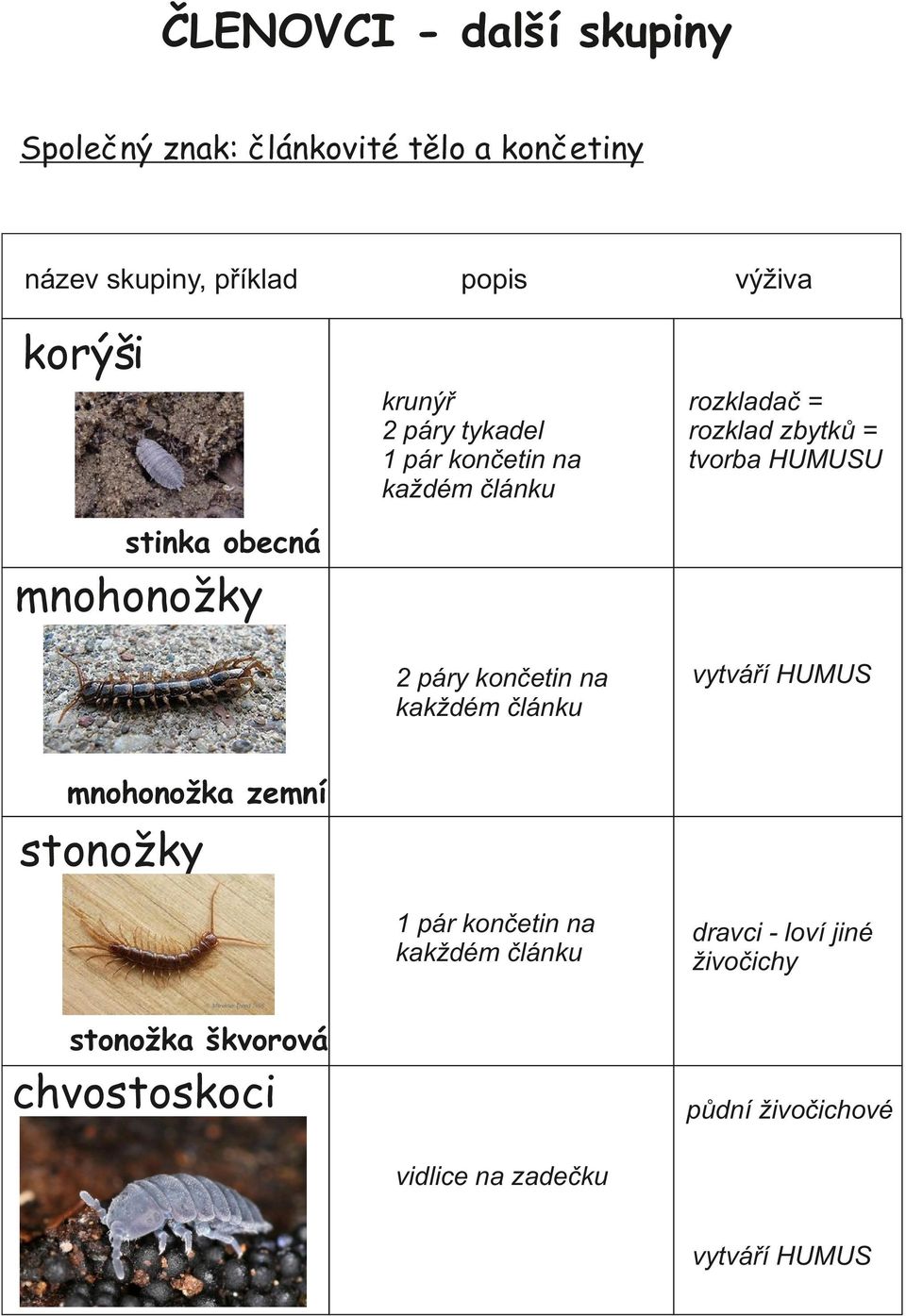 mnohonožky 2 páry končetin na kakždém článku vytváří HUMUS 1 pár končetin na kakždém článku dravci - loví jiné