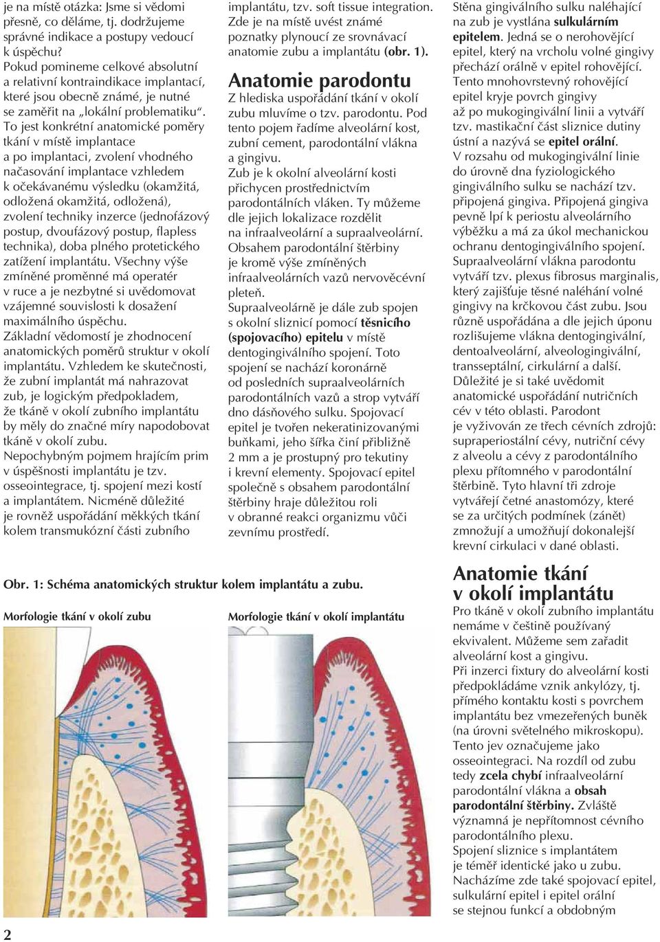 To jest konkrétní anatomické poměry tkání v místě implantace a po implantaci, zvolení vhodného načasování implantace vzhledem k očekávanému výsledku (okamžitá, odložená okamžitá, odložená), zvolení