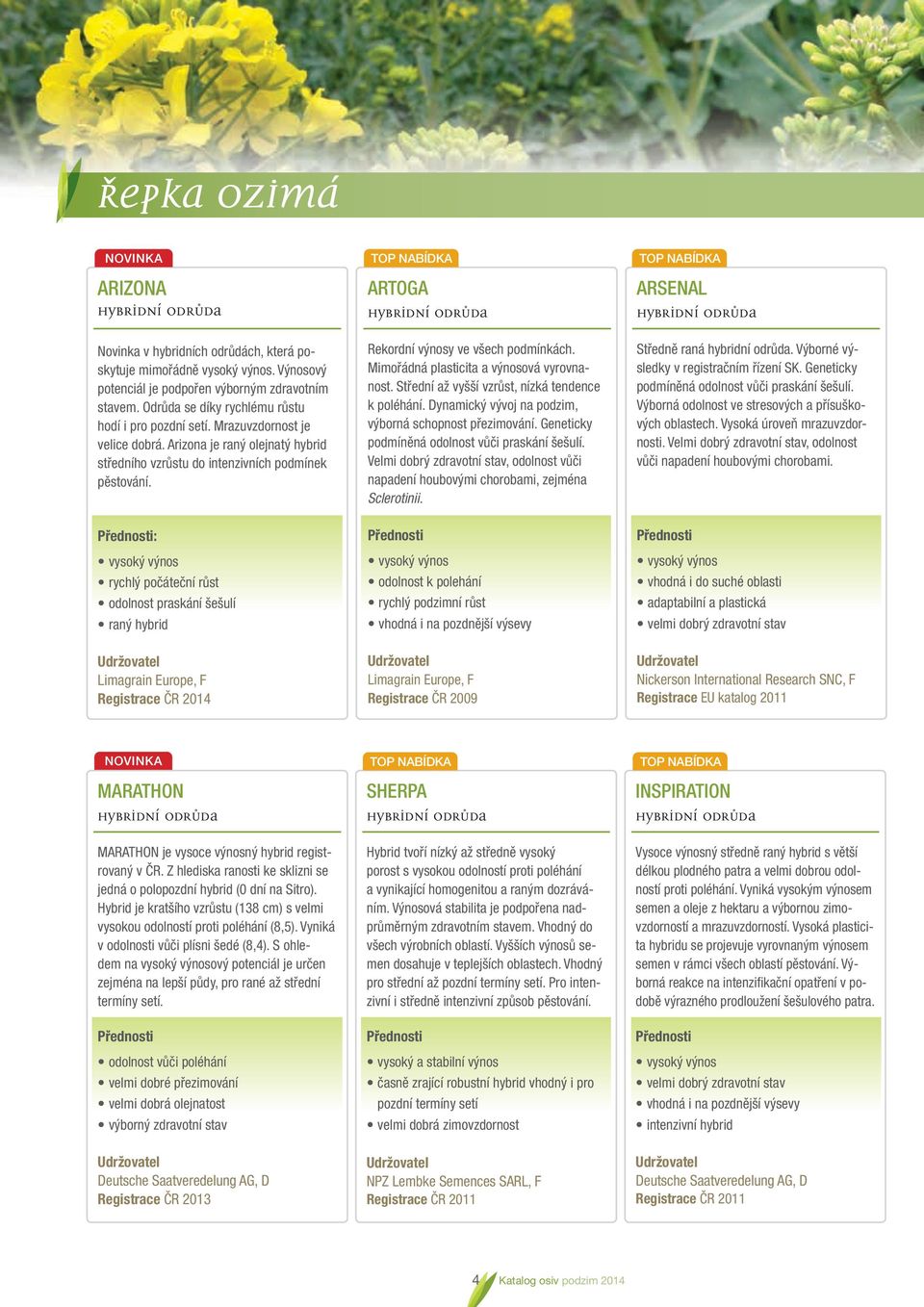 : vysoký výnos rychlý počáteční růst odolnost praskání šešulí raný hybrid Limagrain Europe, F Registrace ČR 2014 TOP NABÍDKA ARTOGA Rekordní výnosy ve všech podmínkách.