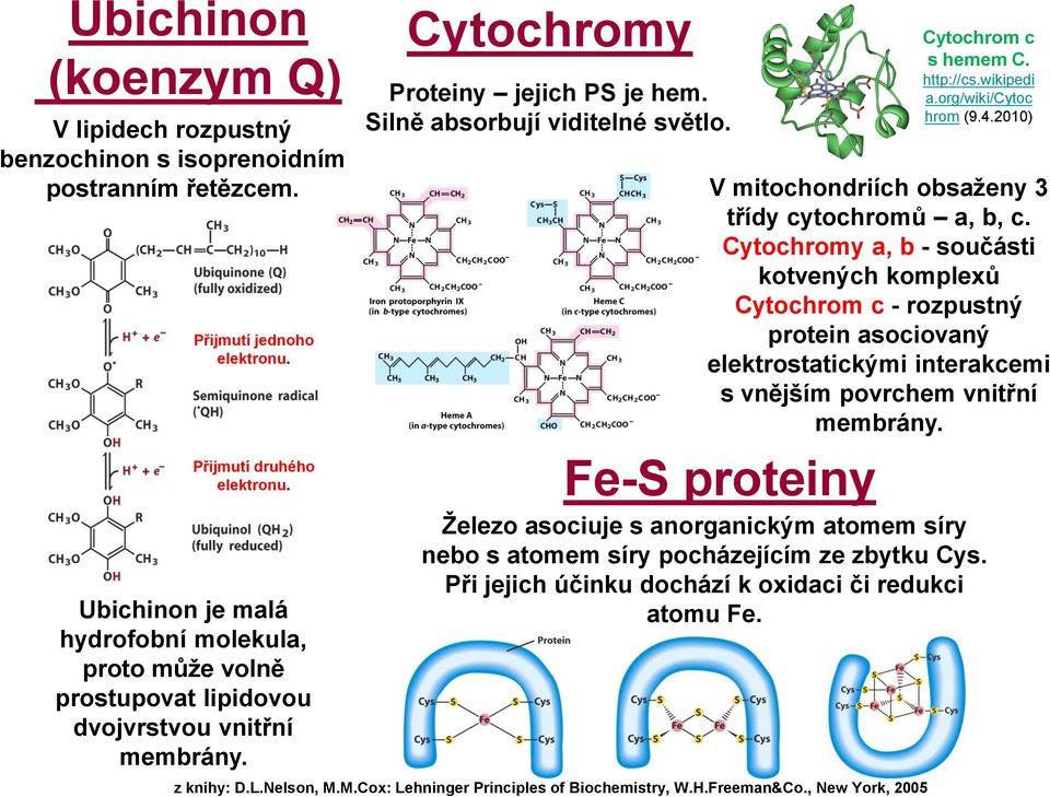 V mitochondriích obsaženy 3 třídy cytochromů a, b, c.