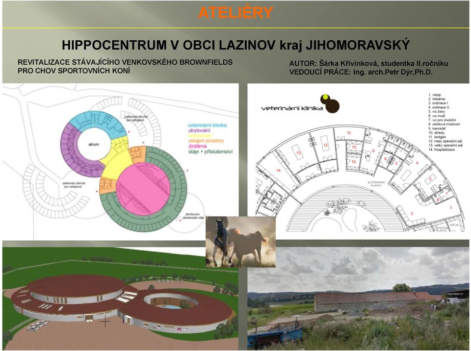 BROWNFIELDS PRO CHOV SPORTOVNÍCH KONÍ AUTOR: Šárka